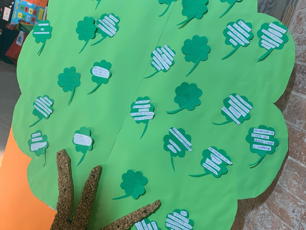 WhatsApp Image 2022-05-05 at 14.33.54 (4)