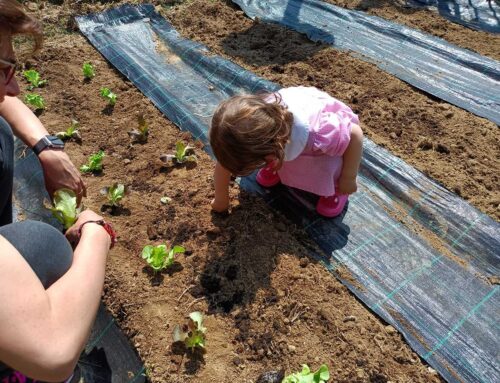 L’ORTO DEI BAMBINI! INFANZIA BALDISSERO D’ALBA