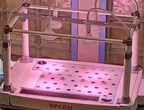 ATTIVAZIONE DELLA SERRA IDROPONICA