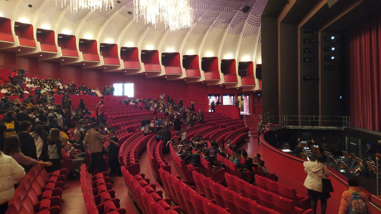 WhatsApp Image 2024-02-06 at 10.14.26