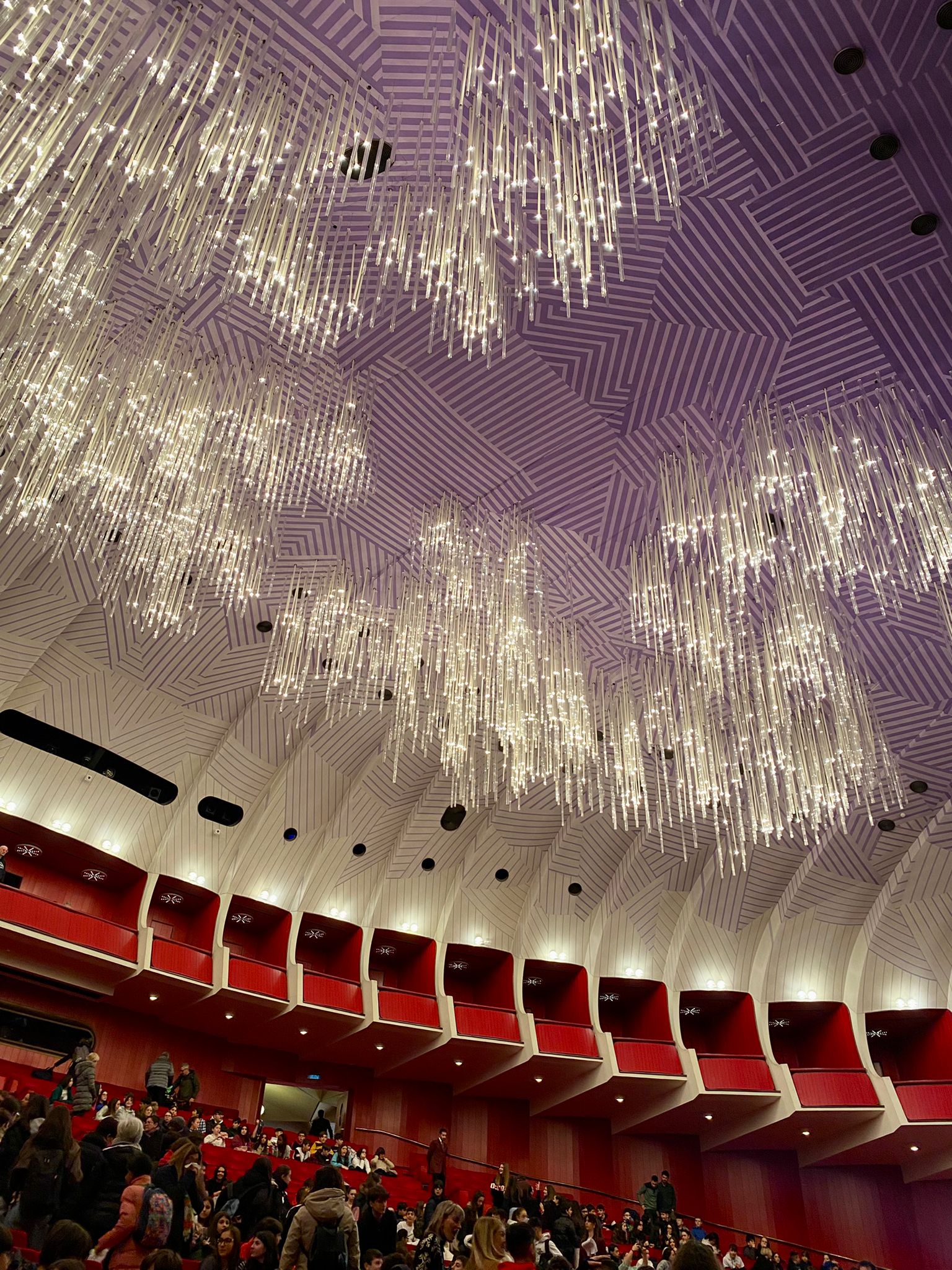 WhatsApp Image 2024-02-06 at 15.29.13