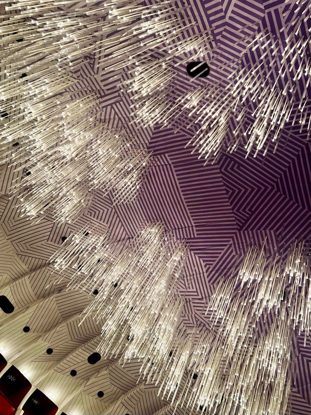 WhatsApp Image 2024-02-06 at 15.29.14