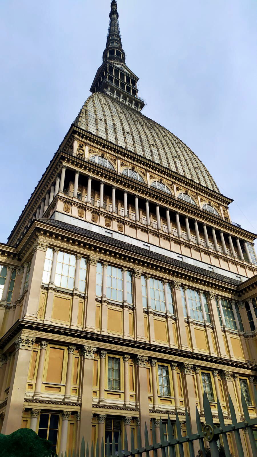 WhatsApp Image 2024-02-06 at 15.29.15