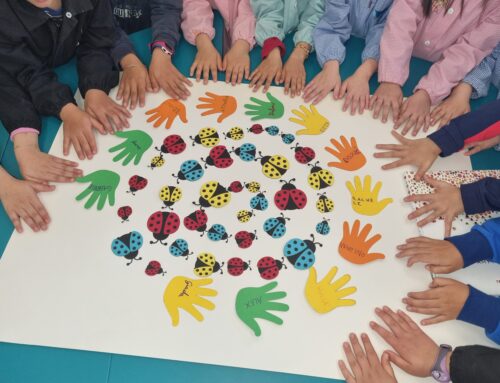 Progetto Continuità